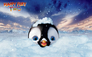 Penguin peeking snow happy face - a penguin free wallpaper