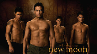 New moon group shirtless men - shirtless free wallpaper