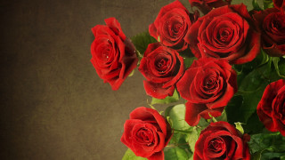 Red roses vase blood splatter - red rose free wallpaper