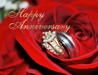 Wedding rings red rose anniversary - romantic free wallpaper