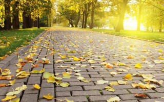 Brick road fall leaves autumn - art green free wallpaper