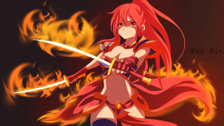 Baioken eishun flames sword anime - behind her free wallpaper