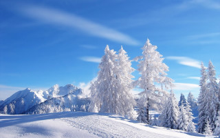 Snowy landscape mountains trees blue - tree and mountains free wallpaper