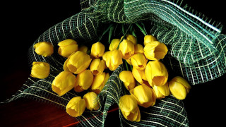 Yellow flowers table green net - yellow flower free wallpaper
