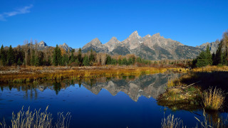 Mountain lake reflection trees grass 5 - ansel adams free wallpaper