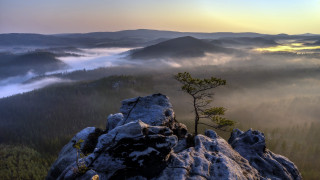 Lone tree mountains fog valley - low free wallpaper for desktop