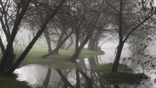 Pond foggy day bench trees - the foggy day time free wallpaper