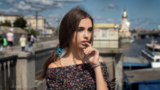 Bridge butterfly portrait city stadium - a blue butterfly free wallpaper