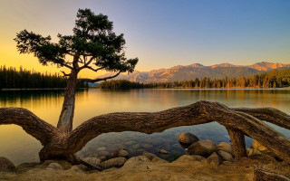 Tree lake mountains sunset landscape 2 - bob ross free wallpaper for desktop