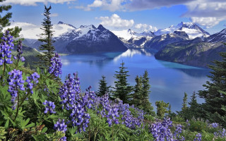 Lake mountains flowers sky clouds 2 - bob thompson free wallpaper for desktop
