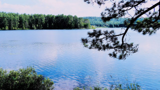 Hudson lake forest clouds bush - alvan fisher free wallpaper