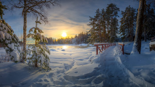 Snowy bridge lake trees dusk - a bridge free wallpaper