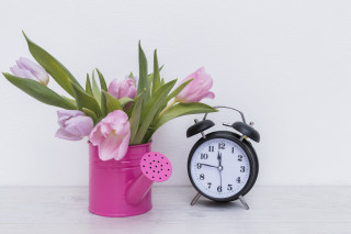 Pink vase flowers clock still - temporary art free wallpaper