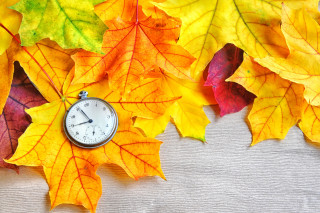 Autumn leaves clock orange fire - different free wallpaper