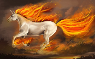 White horse flames running autumn - a white horse free wallpaper
