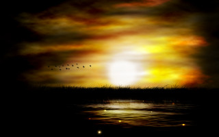 Sunset birds water ocean sky - a painting of a sunset free wallpaper