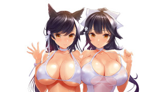Anime girls cat ears bikinis - a cat tail free wallpaper for desktop