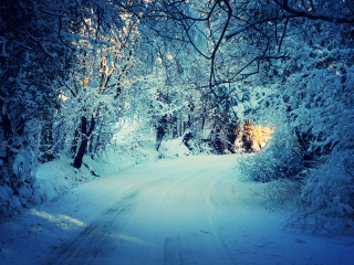 Snowy woodland road magic blue - a snowy road free wallpaper