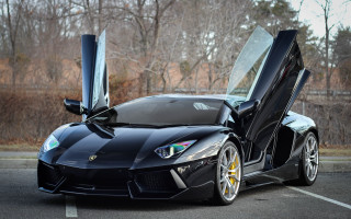 Black sports car open doors 3 - its door free wallpaper