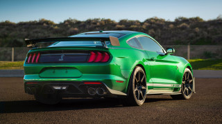 Green mustang cobra forest road - side profile free wallpaper