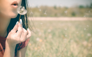Woman blowing dandelion field magic - the side free wallpaper for desktop