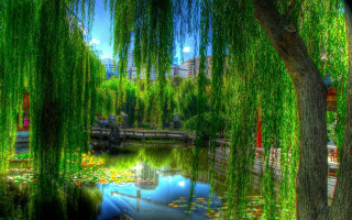 Pond bridge green leaves impressionist - a bridge and a bridge in the background free wallpaper
