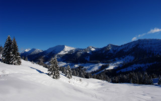 Snowy mountain trees blue sky 10 - edi rama free wallpaper