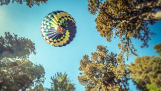 Hot air balloon forest blue - a hot air balloon free wallpaper