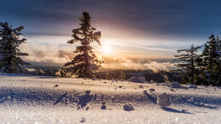 Snowy hill tree sunset beams - sunbeam free wallpaper