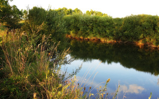River forest autumn sky nature 2 - river free wallpaper