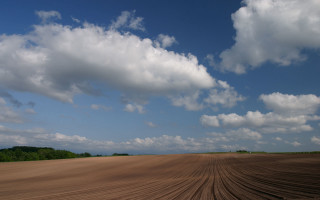 Large field clouds trees matte - a large field free wallpaper