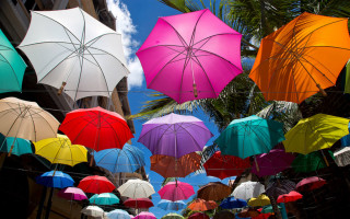 Umbrellas hanging wire city palm - eric deschamps free wallpaper