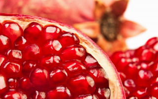 Pomegranate leaf macro food photography - the side of it free wallpaper