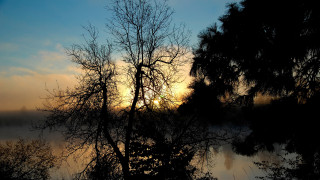 Silhouetted tree sunset lake fog - charles ragland bunnell free wallpaper
