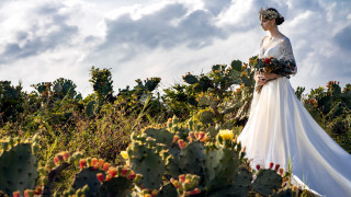 Wedding dress cactus field flower - a woman in a wedding dress free wallpaper