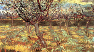 Autumn leaves cityscape bridge tree - a sky in the background free wallpaper for desktop