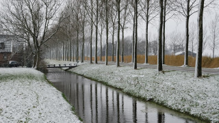 River snowy park bridge trees - david chipperfield free wallpaper