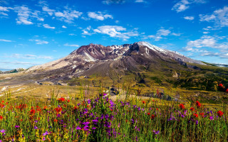 Mountain snow capped peak flower - peak in the distance free wallpaper