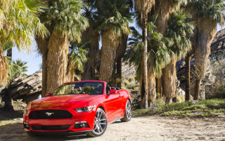 Red mustang convertible palm trees - convertible free wallpaper