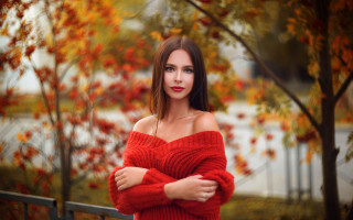 Woman red sweater tree autumn - a red sweater free wallpaper for desktop