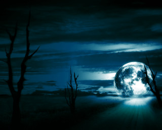 Full moon dead trees matte - full moon free wallpaper for desktop