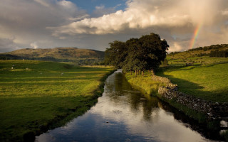River lush field rainbow cloudy - a lush green field under a cloudy sky free wallpaper