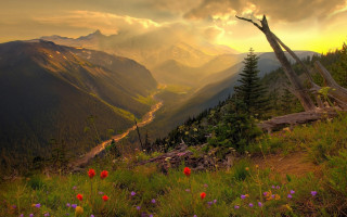 Valley mountains flowers sunset landscape - a sunset in the background free wallpaper for desktop