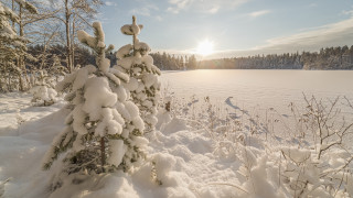 Snow covered field tree sun - bruno liljefors free wallpaper