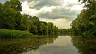 River trees water clouds ducks - lake free wallpaper