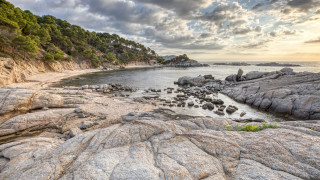 Rocky beach sunset trees cloudy - a body of water and trees free wallpaper