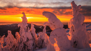 Sunset snowy mountain trees clouds 6 - a sunset over a snowy mountain free wallpaper