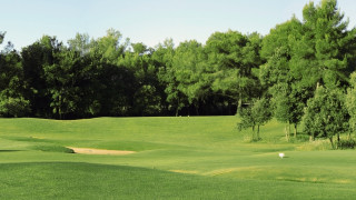 Golf green white ball trees - alen divi free wallpaper