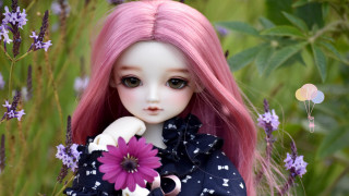 Pink hair doll flower butterfly - a field of flowers and grass free wallpaper