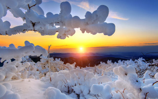Sunset snowy mountain tree branch - a tree branch in the foreground free wallpaper